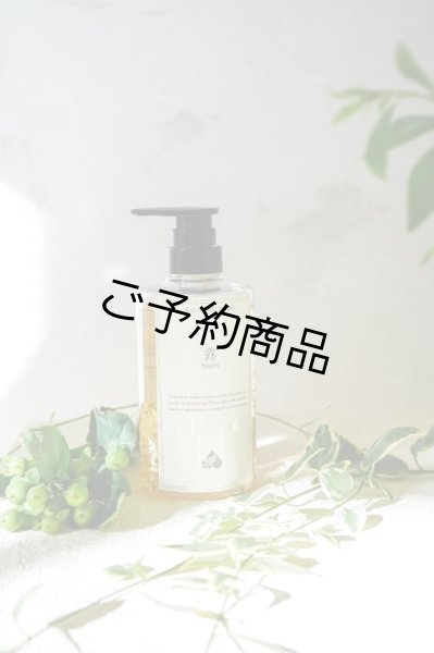 画像3: 露-tsuyu-オイル　500ml１本 (3)